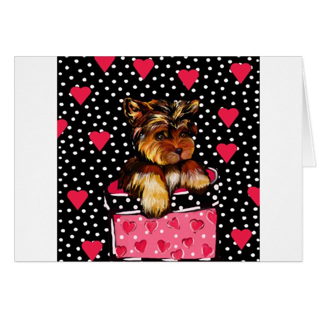 VALENTINE YORKIE (Front Horizontal)