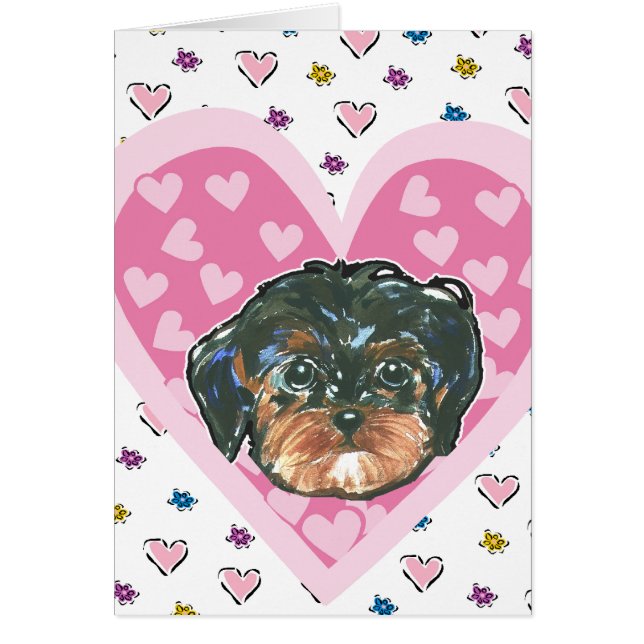 Valentine Yorkie Poo (Front)