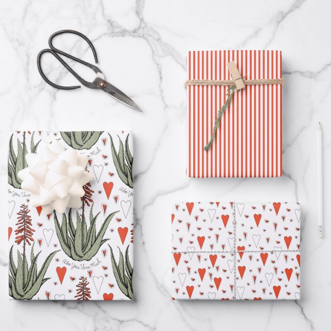 Valentines Aloe Plants Succulents Stripes Hearts Wrapping Paper Sheet (Front)