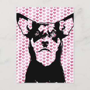 Valentines - Australian Kelpie Silhouette - Yasha Holiday Postcard