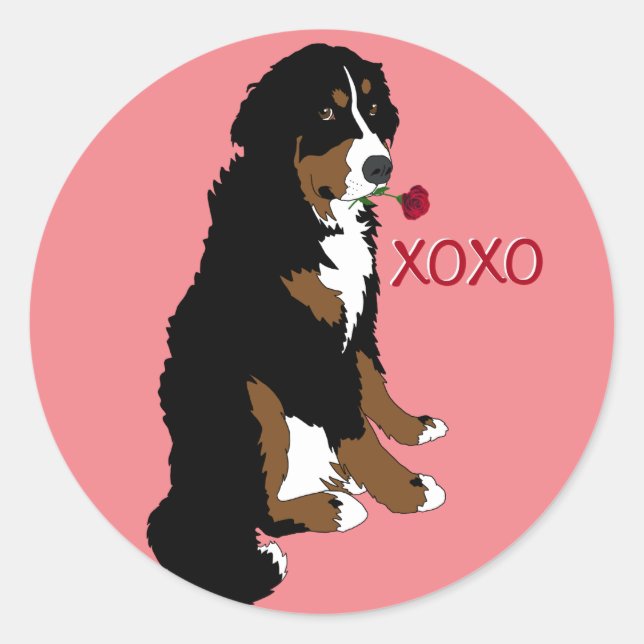 Valentines Bernese Mountain Dog Classic Round Sticker (Front)