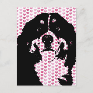 Valentines - Bernese Mountain Dog Silhouette Holiday Postcard