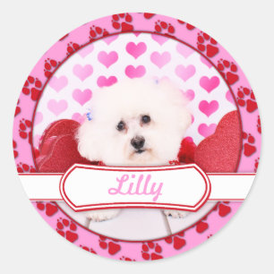 Valentines - Bichon Frise - Lilly Classic Round Sticker