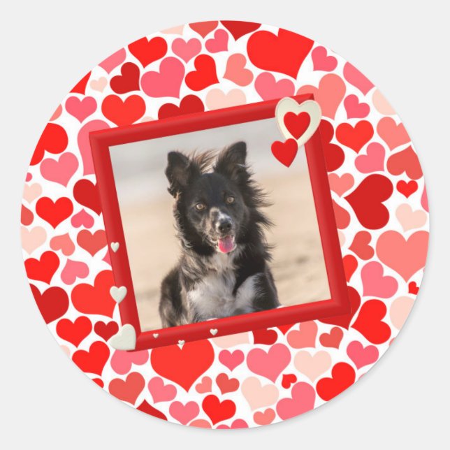 Valentines Border Collie Dog Hearts Classic Round Sticker (Front)