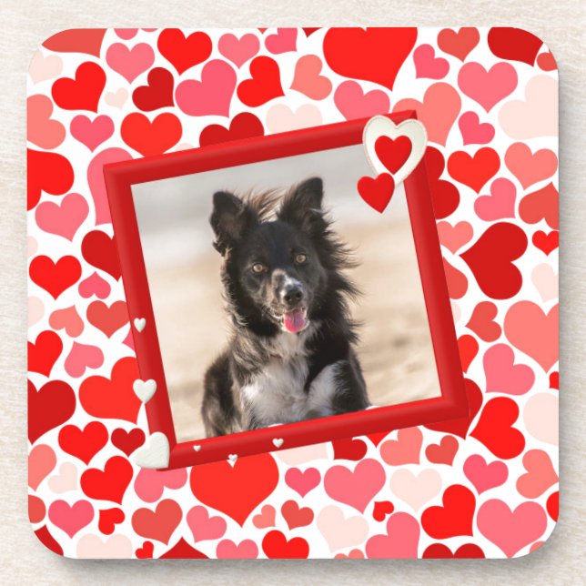 Valentines Border Collie Dog Hearts Coaster (Front)