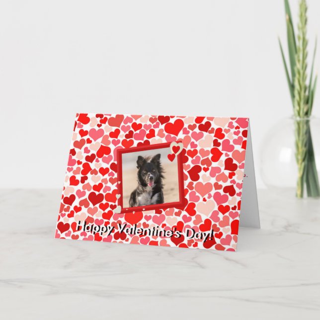 Valentines Border Collie Dog Hearts Greeting Card (Front)