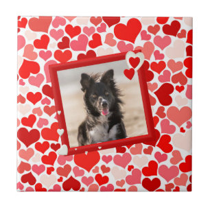 Valentines Border Collie Dog Hearts Tile