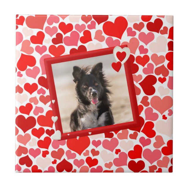 Valentines Border Collie Dog Hearts Tile (Front)