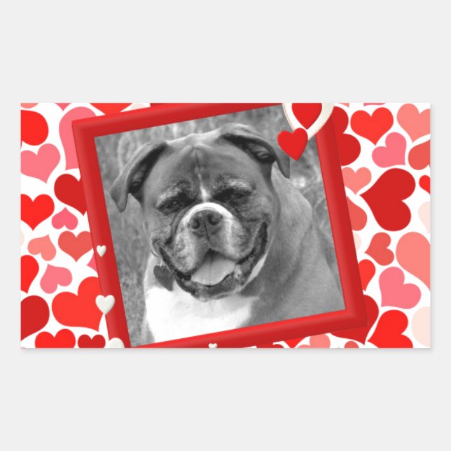 Valentines Boxer Dog Hearts Rectangular Sticker (Front)