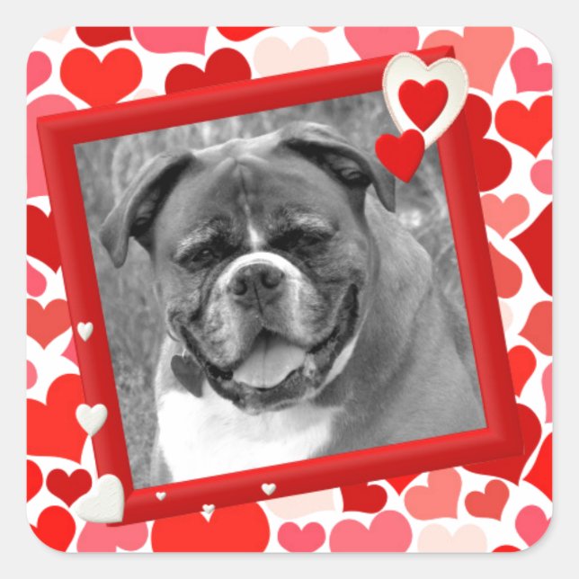 Valentines Boxer Dog Hearts Square Sticker (Front)