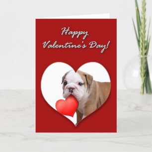 Valentine's bulldog puppy card