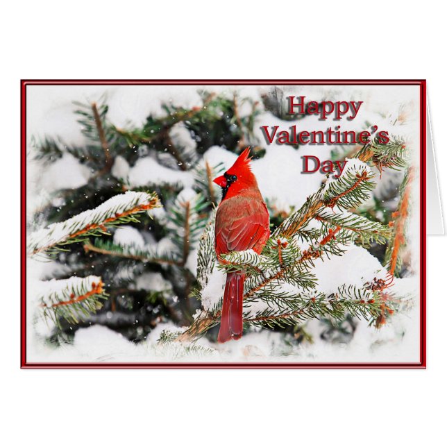 Valentine's Card of a cardinal in a pine tree (Front Horizontal)