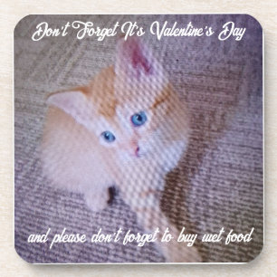 Valentine's Cat Photo Humor Text Smile Coaster