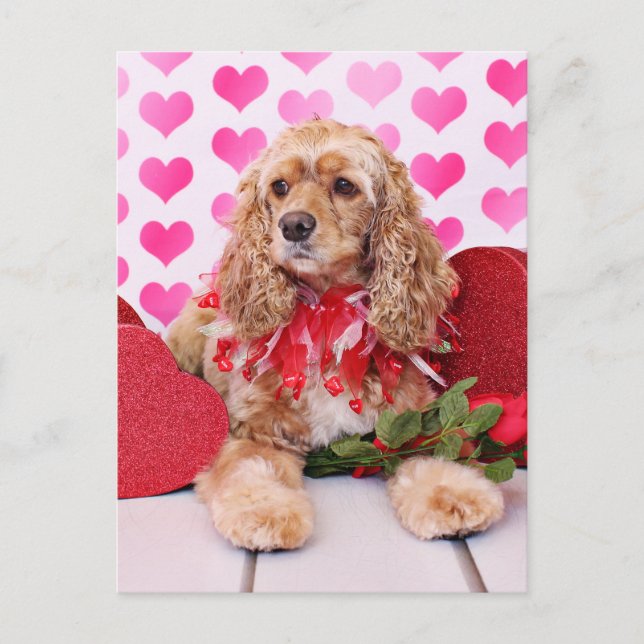 Valentines - Cocker Spaniel - Bella Holiday Postcard (Front)