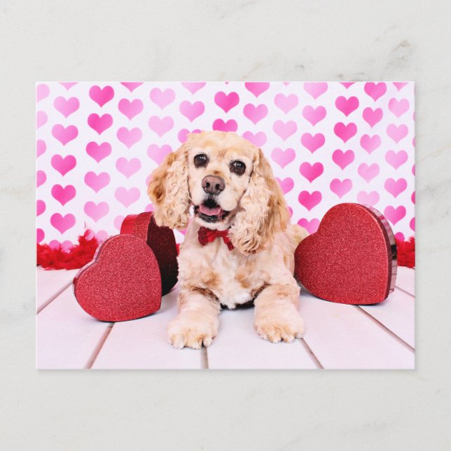 Valentines - Cocker Spaniel - Duke Holiday Postcard (Front)