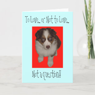 Valentine's Day Australian Shepherd dog Holiday Card