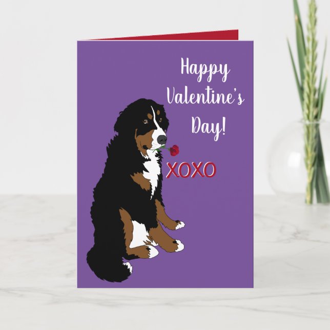 Valentines Day Bernese Mountain Dog Card (Front)
