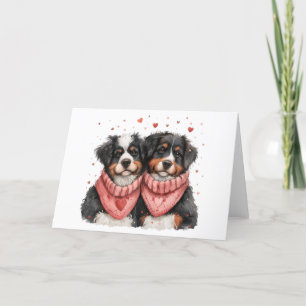 Valentines Day Bernese Mountain Dogs Holiday Card