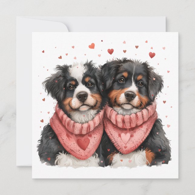 Valentines Day Bernese Mountain Dogs Holiday Card (Front)