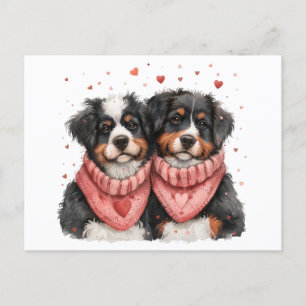 Valentines Day Bernese Mountain Dogs Holiday Postcard
