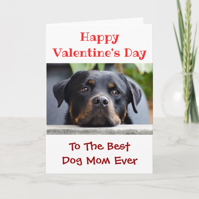 Valentines Day Best Dog Mum Ever Pet Photo Holiday Card (Front)