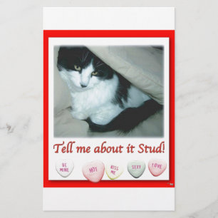 Valentine's Day Black and White Cat Stationery