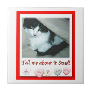 Valentine's Day Black and White Cat Tile