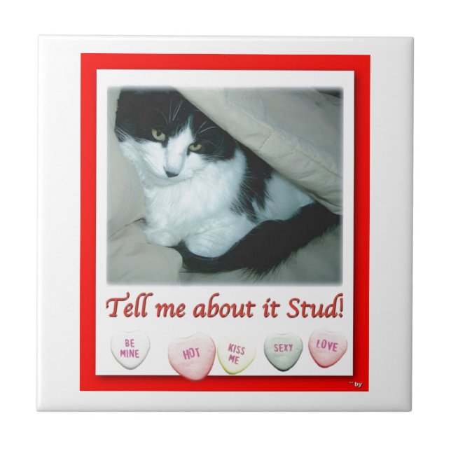 Valentine's Day Black and White Cat Tile (Front)