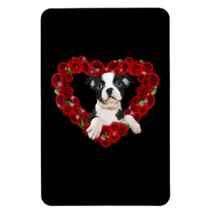 Valentines Day Boston Terrier Heart Roses Gift Dog Magnet