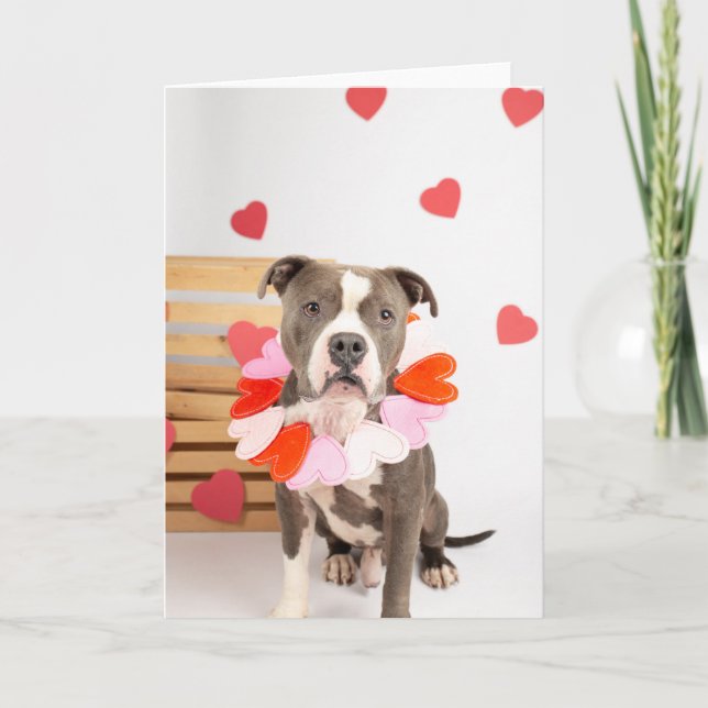 Valentines Day Card (Front)