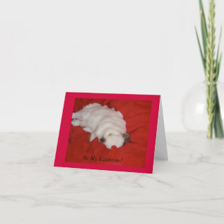 Valentine's Day Card