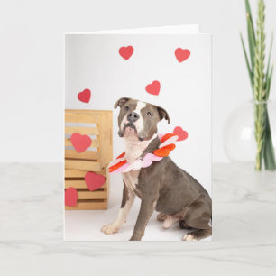 Valentine's Day Card