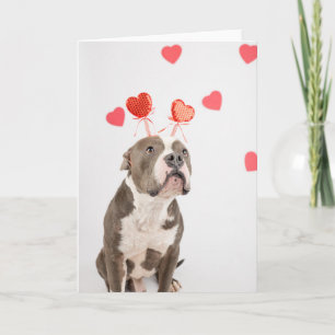 Valentine's Day Card