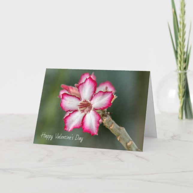Valentine's Day Card - Desert Rose (Front)