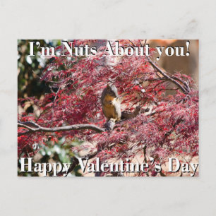 Valentine's Day Card for School