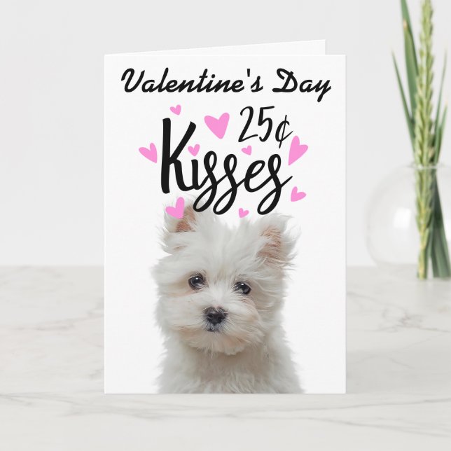 Valentine's Day card kisses ...from the dog (Front)