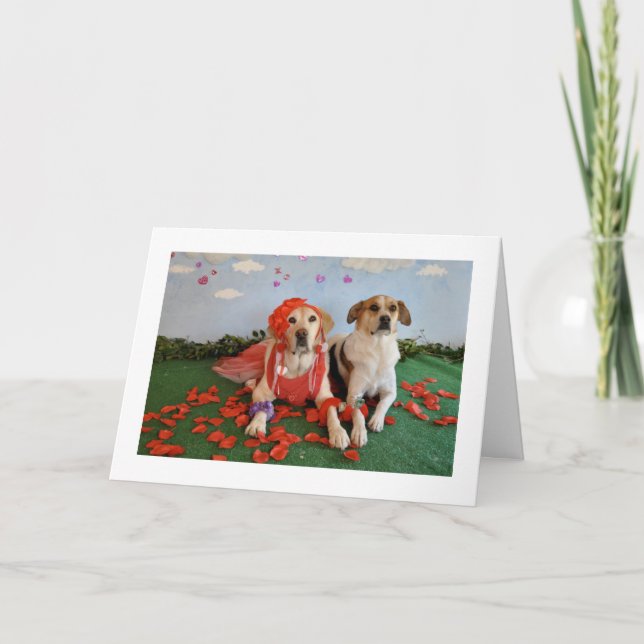 Valentine's Day card, photo of 2 dogs Holiday Card (Front)