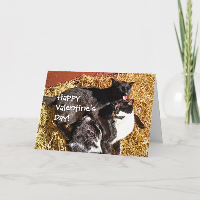 Valentine's Day Card with Cats (Front)