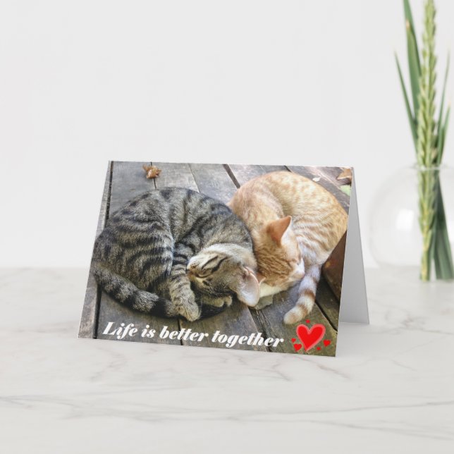 Valentine's day card with cats - blank (Front)