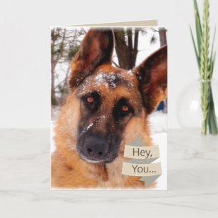 Valentine's Day Card with German Shepherd