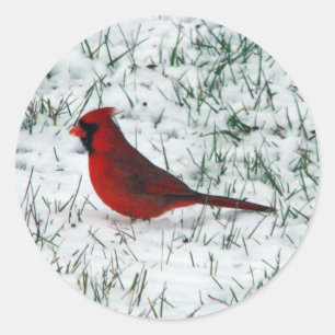 Valentine's Day Cardinal Classic Round Sticker
