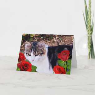 VALENTINE'S DAY CAT WITH RED ROSES HOLIDAY CARD