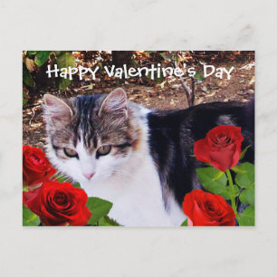 VALENTINE'S DAY CAT WITH RED ROSES HOLIDAY POSTCARD