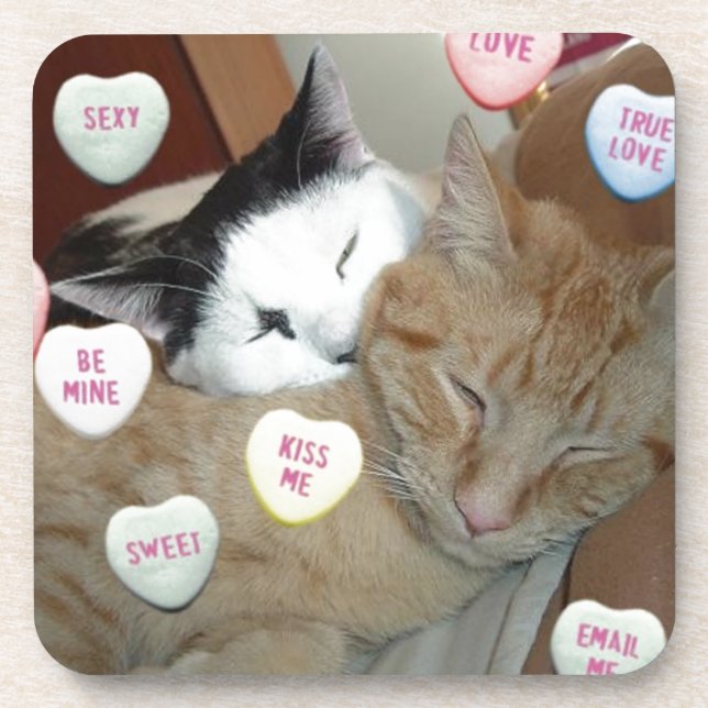 Valentine's Day Cats Coaster (Front)