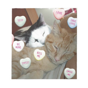 Valentine's Day Cats Notepad