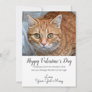Valentine's Day Custom Cat Photo Holiday Card