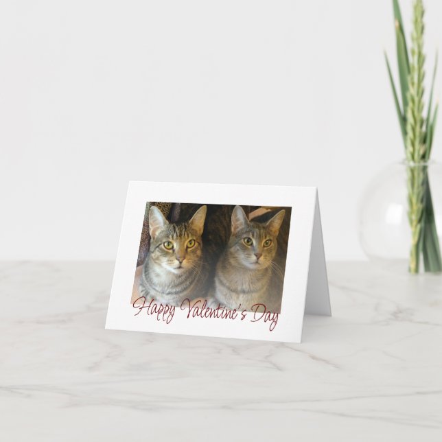 Valentine's Day Cute Cats Red Script Typography  Holiday Card (Front)