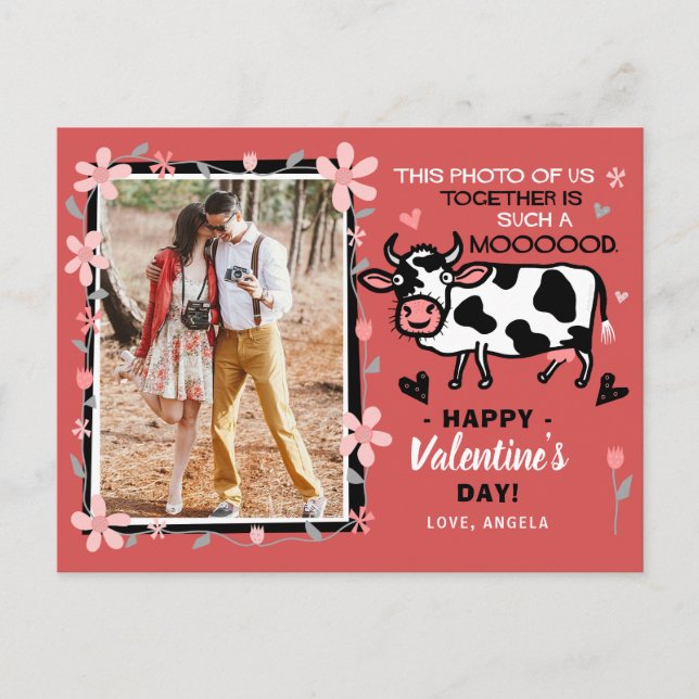 Valentine's Day Cute Cow Custom Couple Photo Funny Postcard (Front)