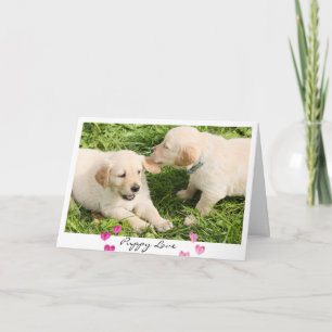 Valentine's Day Cute Dogs Puppy Love Holiday Card