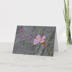 Valentines Day delicate Pink flower and Stone Holiday Card